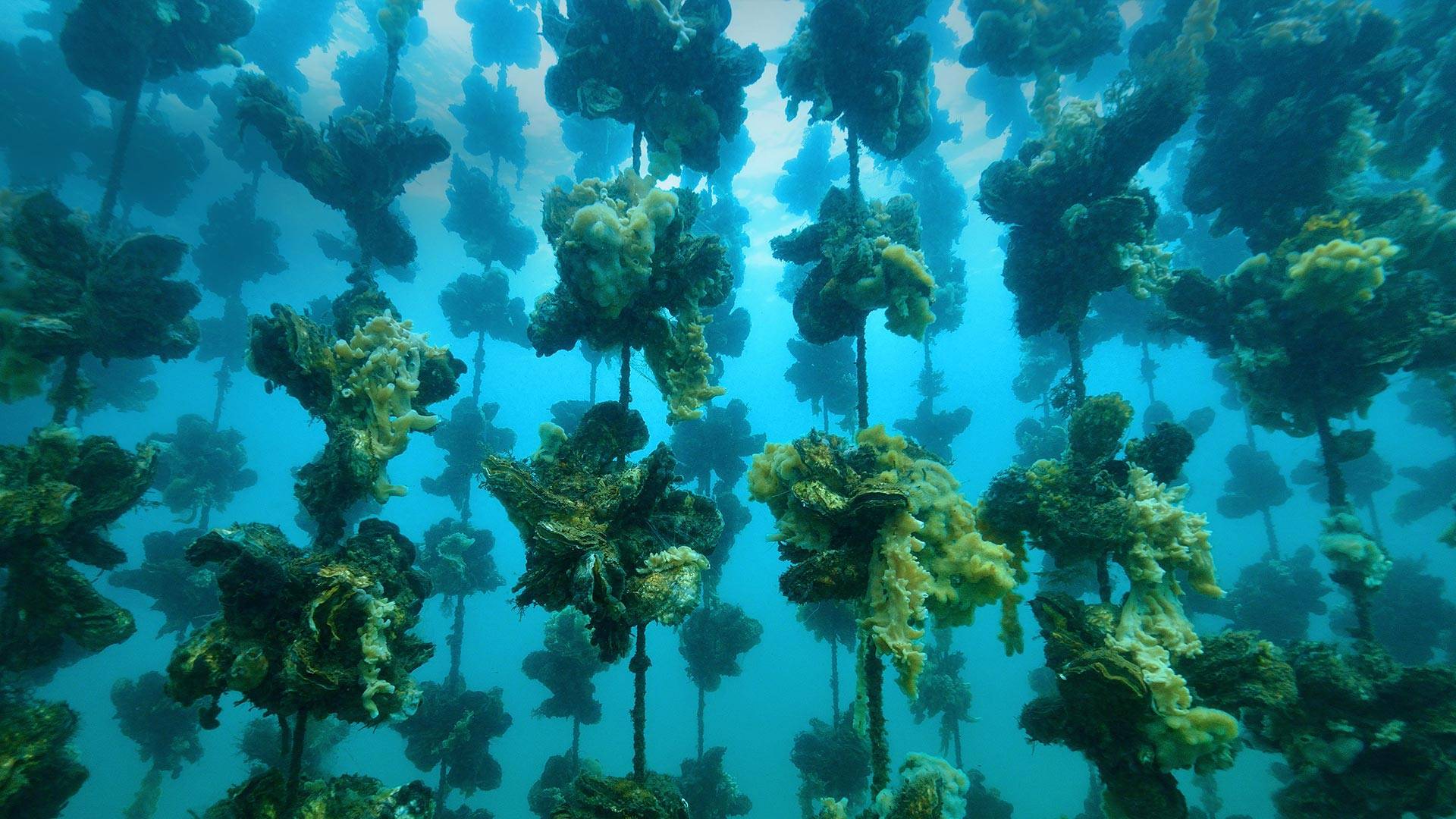 hexo 搭建博客常用命令 003